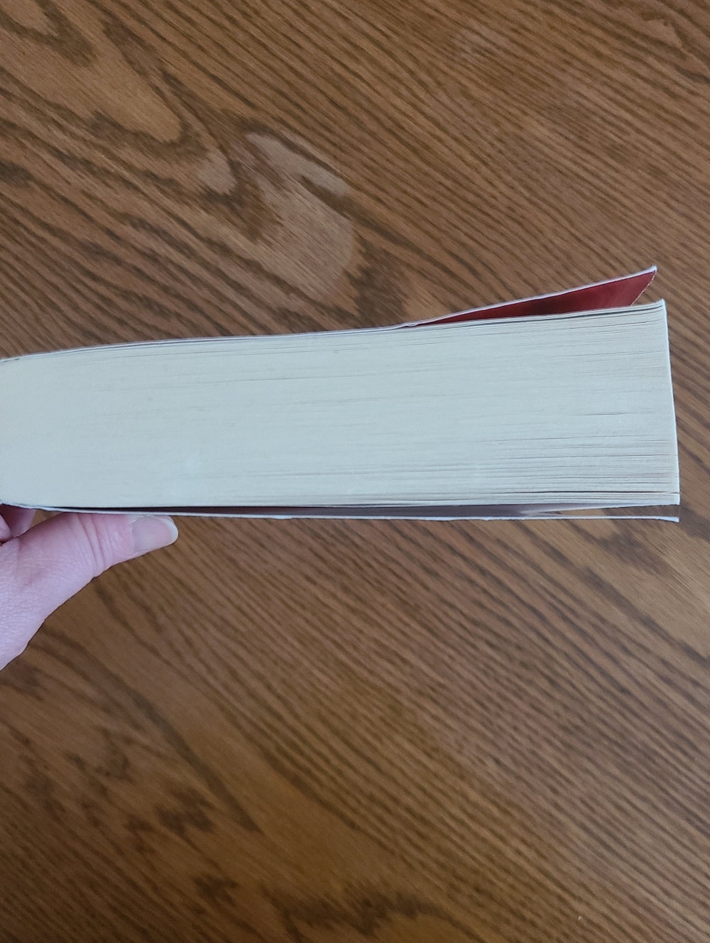 Reign the Earth Book by A.C. Gaughen - Picture 4 of 12